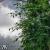 images/thumbsgallery/RG/photo_20220710_160703.jpg
