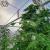images/thumbsgallery/RG/t4.jpg