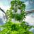 images/thumbsgallery/RG/tw8.jpg