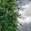 images/thumbsgallery/RG2/t5.jpg