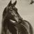images/thumbsgallery/mfh/4.1.jpg