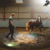 images/thumbsgallery/mfh2/9.jpg